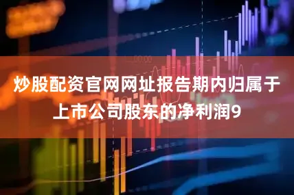 炒股配资官网网址报告期内归属于上市公司股东的净利润9