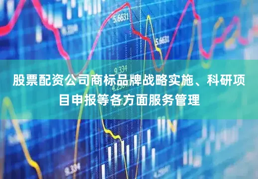 股票配资公司商标品牌战略实施、科研项目申报等各方面服务管理